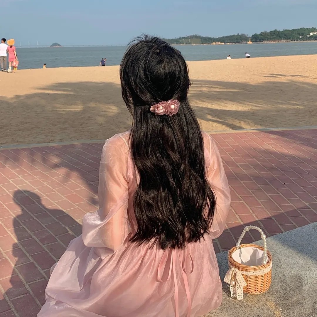 小鸟之翼第二季